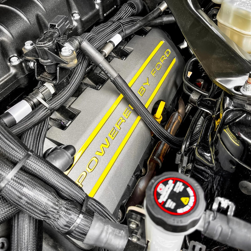 Load image into Gallery viewer, Ford - Mustang - S550 - 5.0 Valve Cover Overlay (2015-2017)