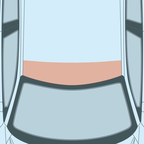 Acura - DE - Integra - Partial Roof PPF