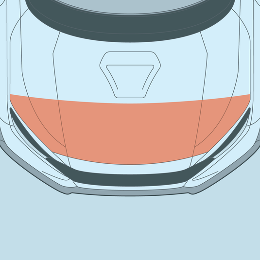 Honda - 10th Gen - Civic Type R - Partial Hood PPF