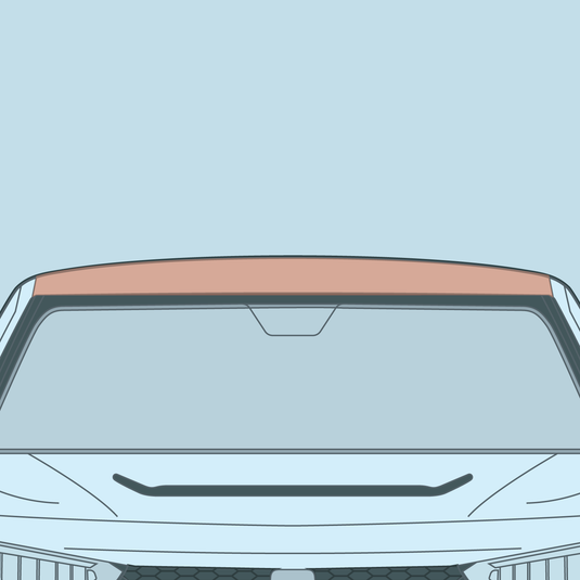 Honda - 11th Gen - Civic - Partial Roof PPF