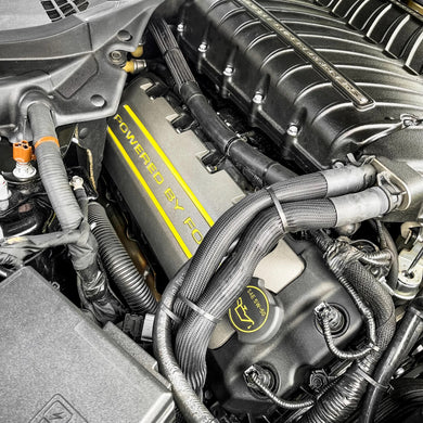 Ford - Mustang - S550 - 5.0 Valve Cover Overlay (2015-2017)